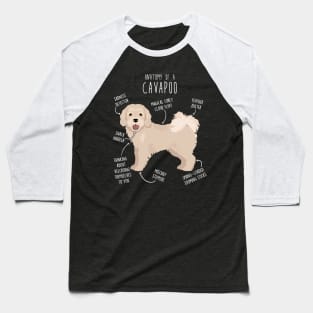 Cavapoo Dog Anatomy Baseball T-Shirt